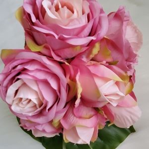 Meet your Posher, Mona